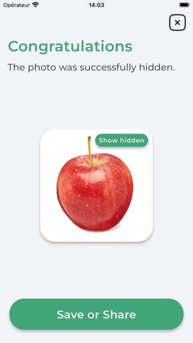 Chameleon: hide your secrets Screenshot