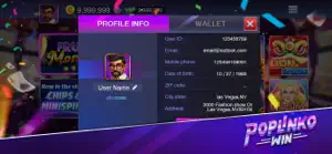 Poplinko Win screenshot 1