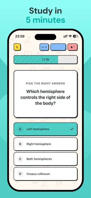 Verso AI Flashcards & Study screenshot 3