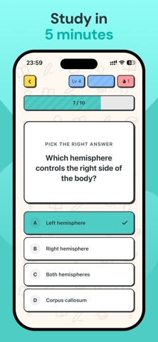 Verso AI Flashcards & Study Screenshot 3 of 5