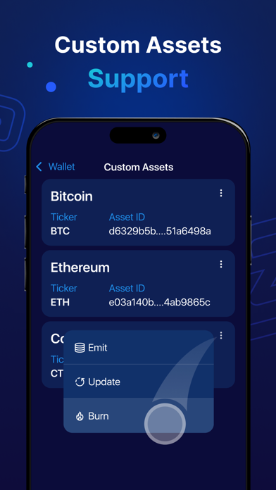 Zano Wallet Screenshot