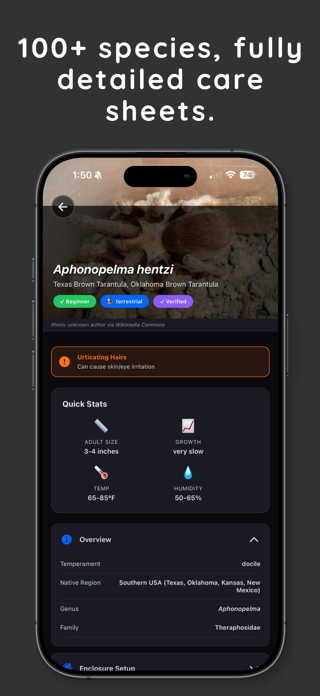 Tarantuverse Screenshot 3 of 5