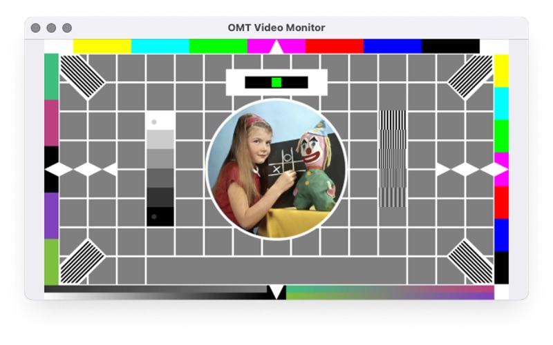 OMT Video Monitor screenshot