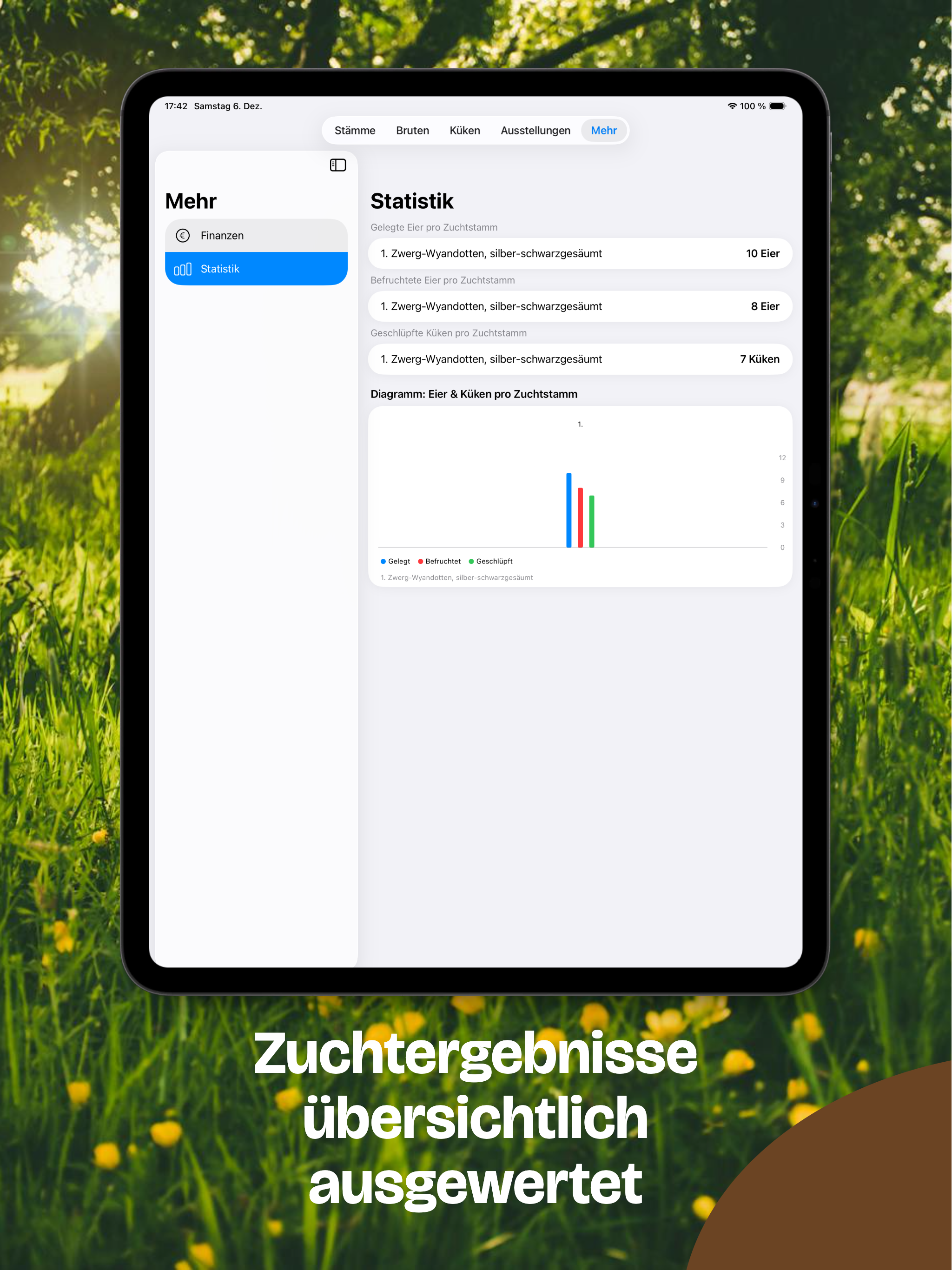 Hühnerzucht