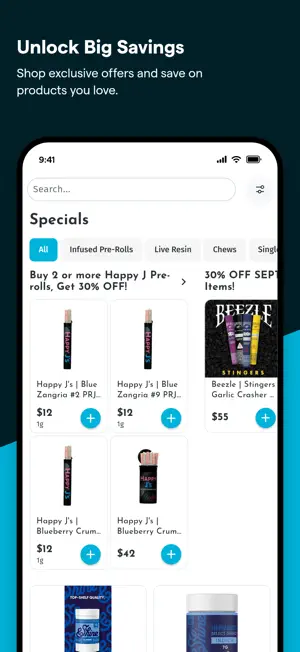 THE LVRM screenshot 2