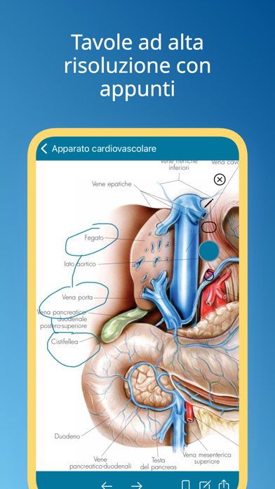 Atlante di Anatomia Screenshot