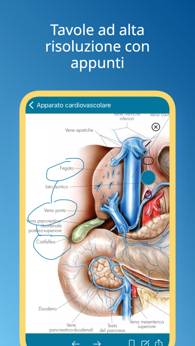 Atlante di Anatomiaのおすすめ画像3