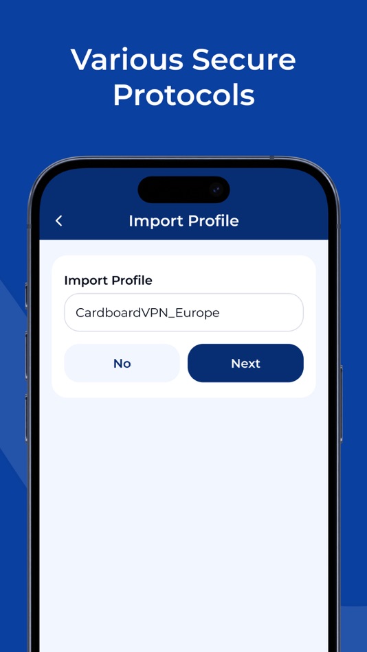#4. VPN Client - NetProxy (iOS) 由: NetProxy