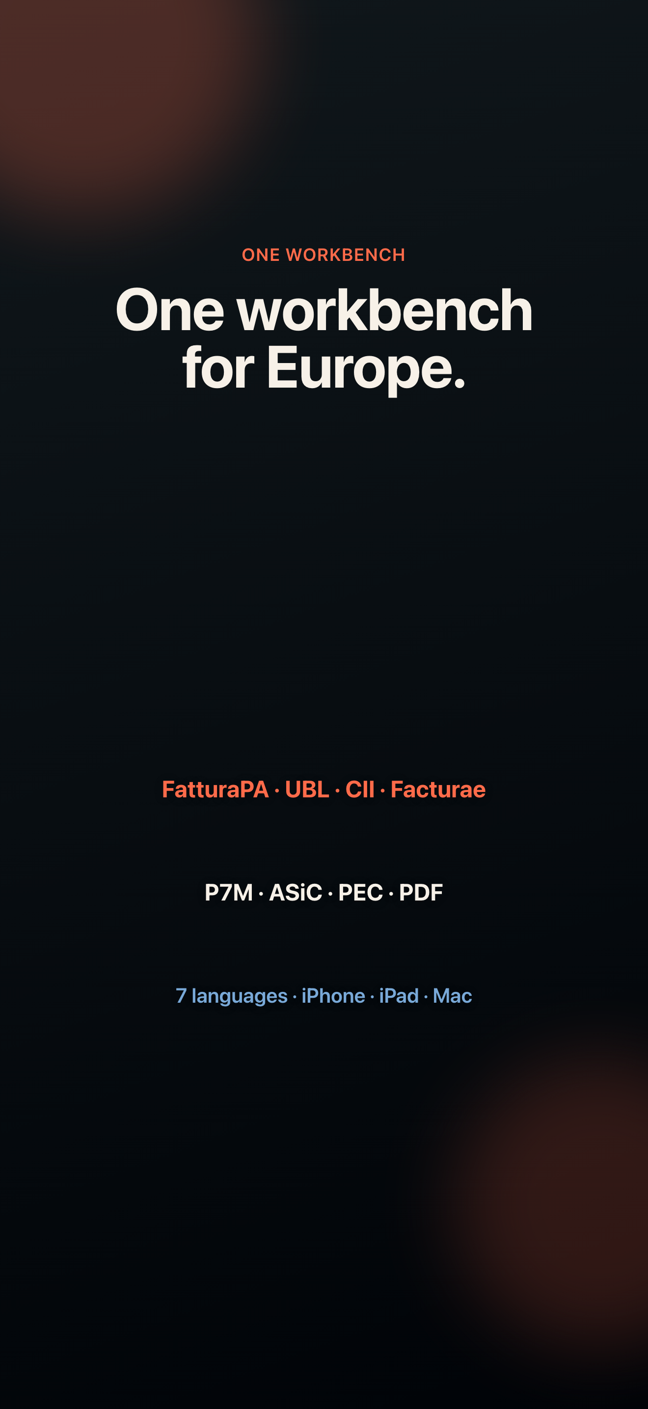 P7M, XML & EU Invoice Viewer screenshot 7