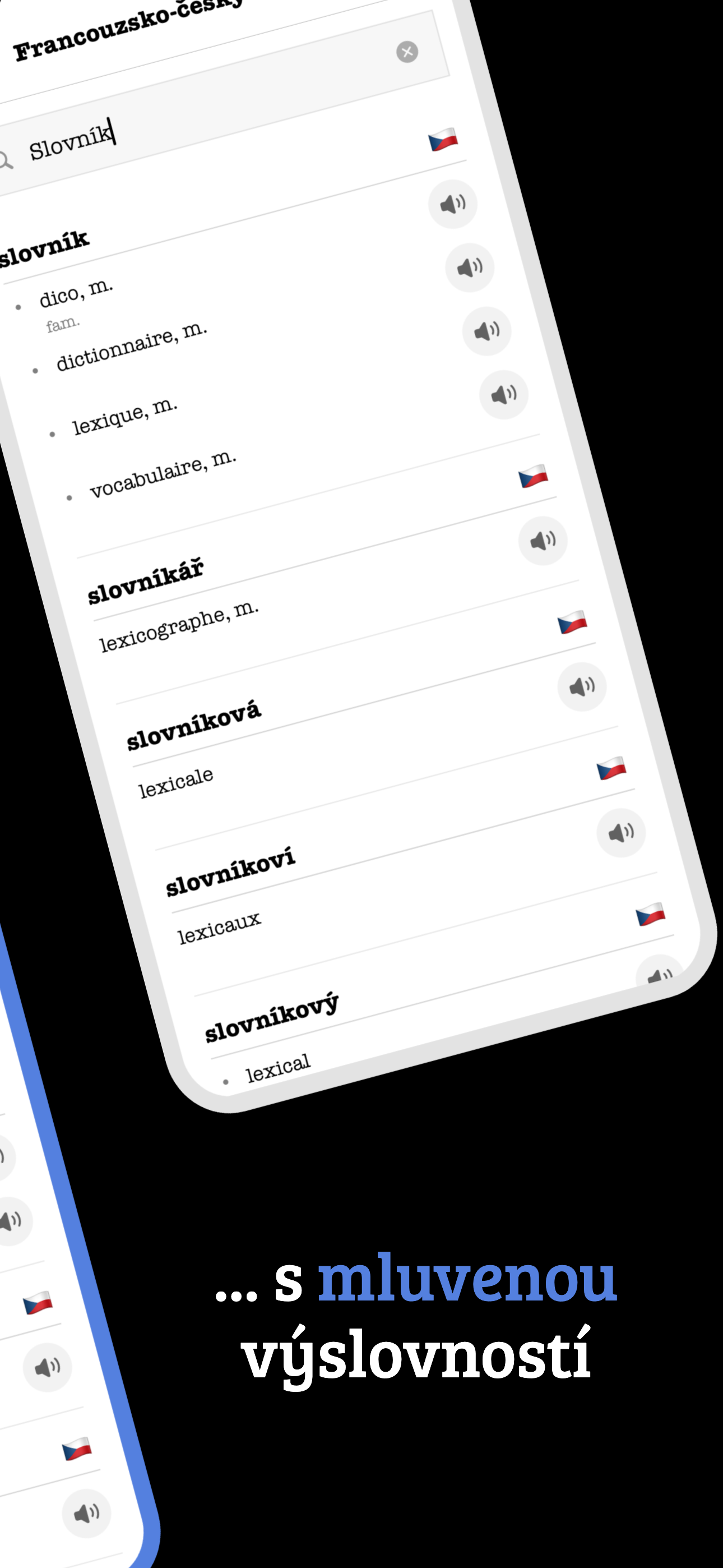 Francouzský slovník offline