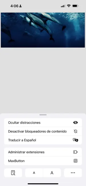 MaxButton screenshot 2