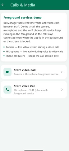 BB Manager screenshot