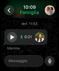 WhatsApp Messenger Screenshot