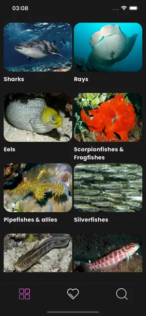 Maldivian Fish Guide screenshot 2