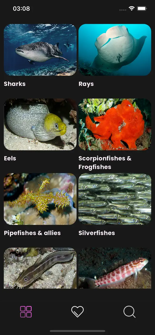 Screenshot #2 pour Maldivian Fish Guide