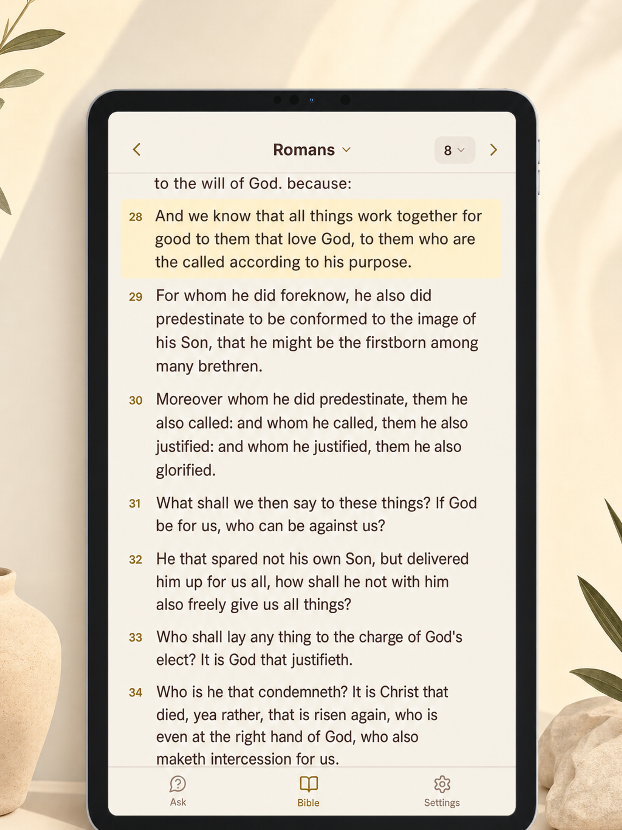 Seeking Scripture