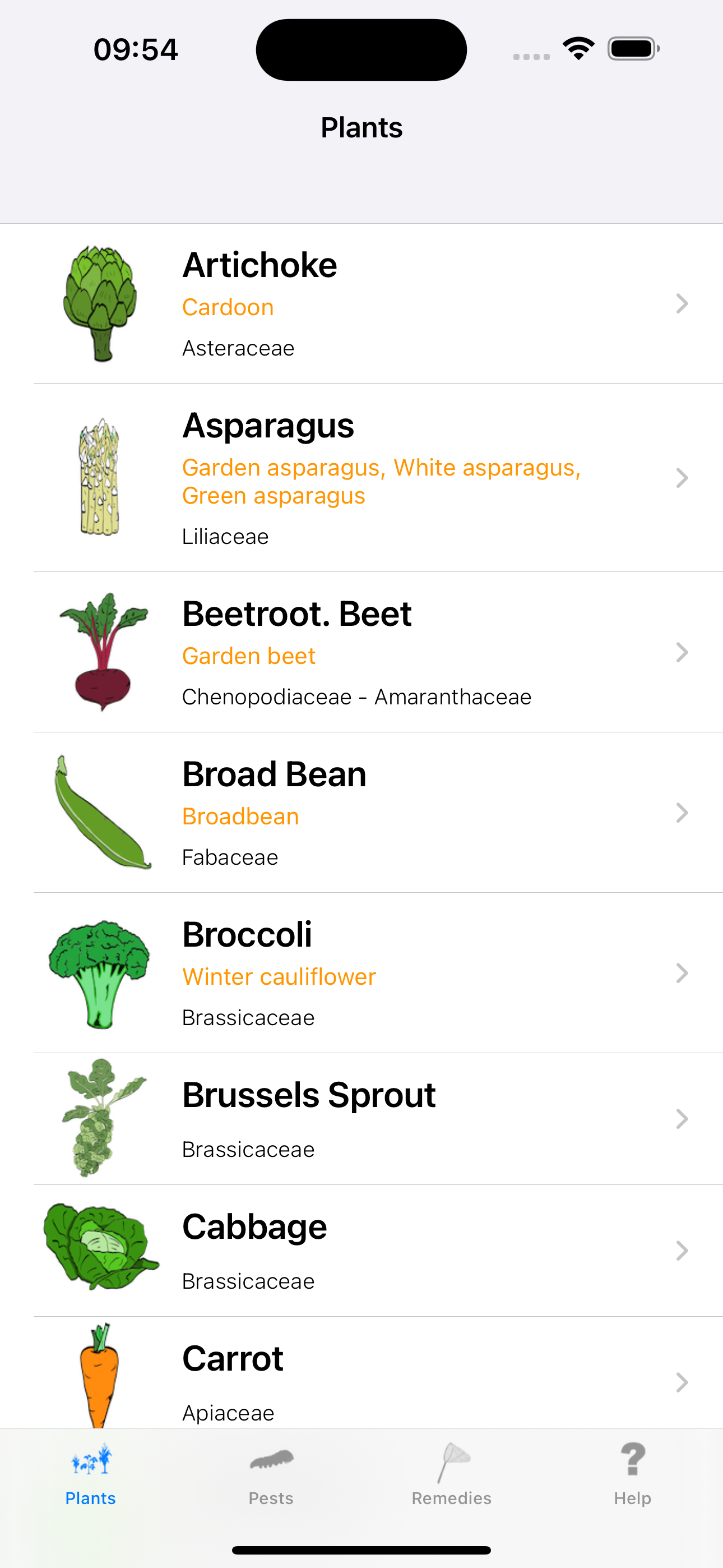 Urgency Vegetable Garden