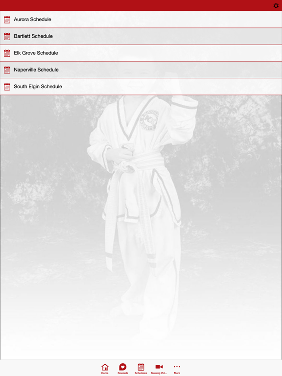 Screenshot #6 pour National Karate Schools