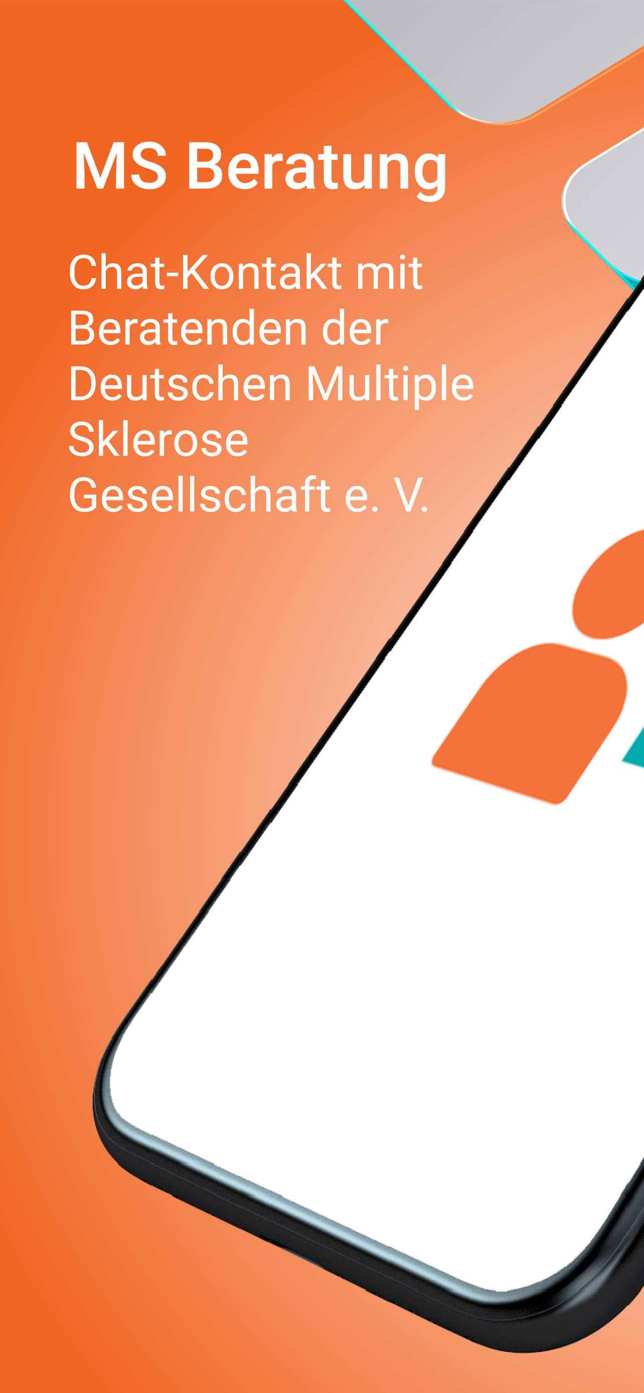 MS Beratung
