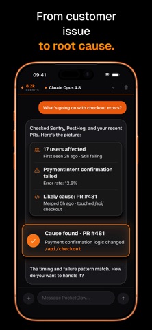 PocketClaw: Business AI Agent iPhone screenshot
