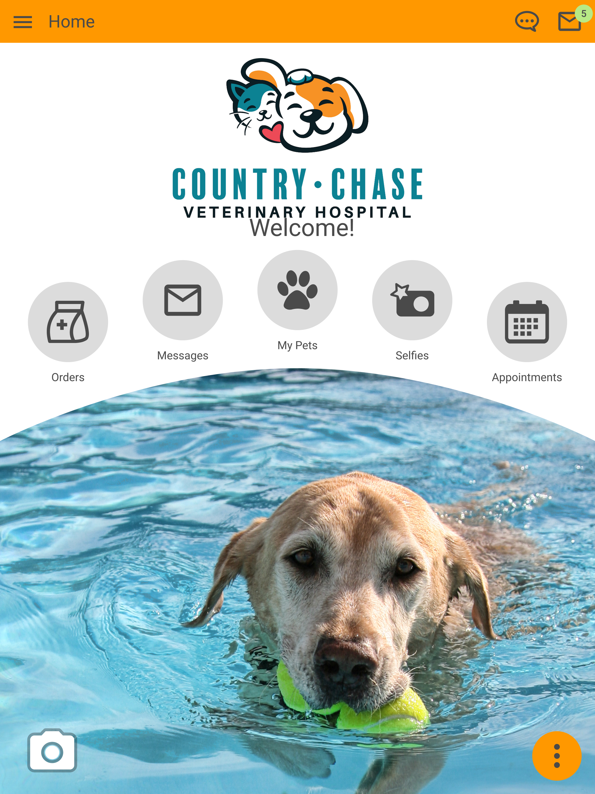 Country Chase Vet Hospital screenshot 6