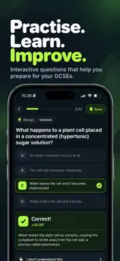 Revaster screenshot 2