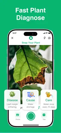 Plant Identifier: ChatPlant AI : capture d’écran 3 sur 8