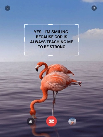 Translate : AI Translator iPad screenshot