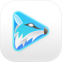FoxFM Offline Music MP3 Player