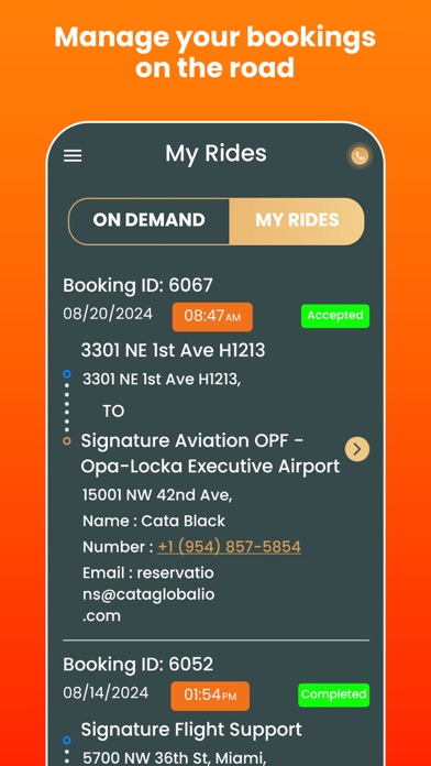 Cata Global Chauffeur Screenshot