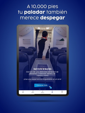 Mexicana iPad screenshot 8