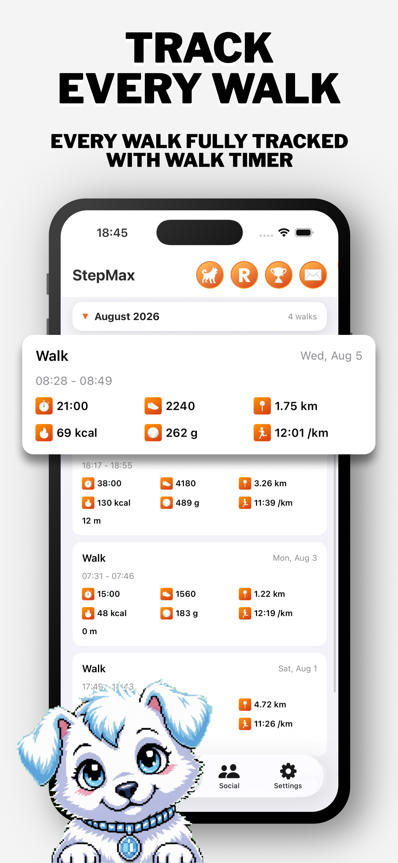 StepMax - Step Counter screenshot 3