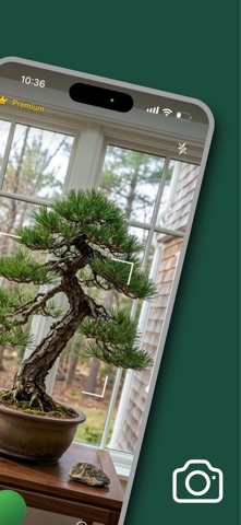 Bonsai Identifier: Care Guide Screenshot 2 of 5