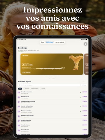 Champi · Carte Champignons iPad screenshot 4