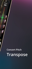Saxophone Fingering Tuner screenshot