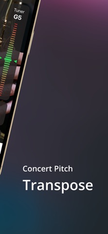 Saxophone Fingering Tuner iPhone screenshot