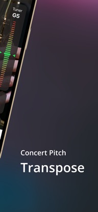 Saxophone Fingering Tuner screenshot 5