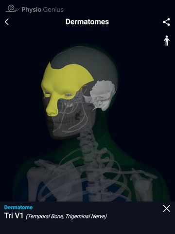 Physio Genius – 3D Maps iPad screenshot