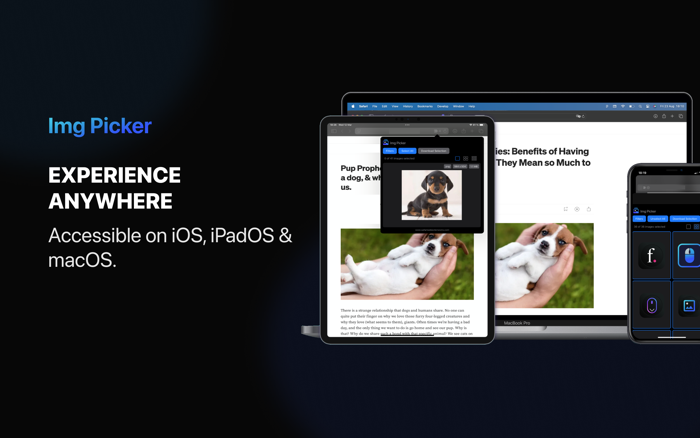 Img Picker Web Extension