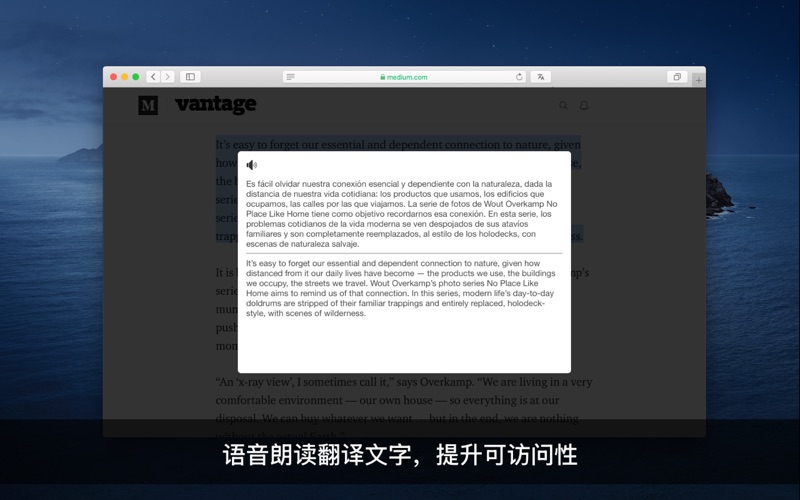Translate for Safari screenshot