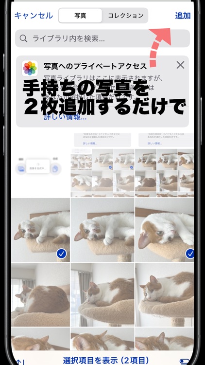 前後写真合成 screenshot-3