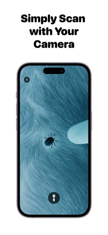 TickScan: Insects scanner screenshot