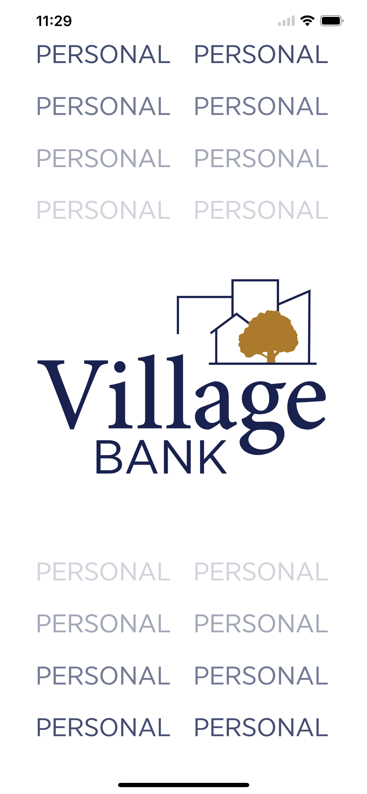 Village Bank MN Personal