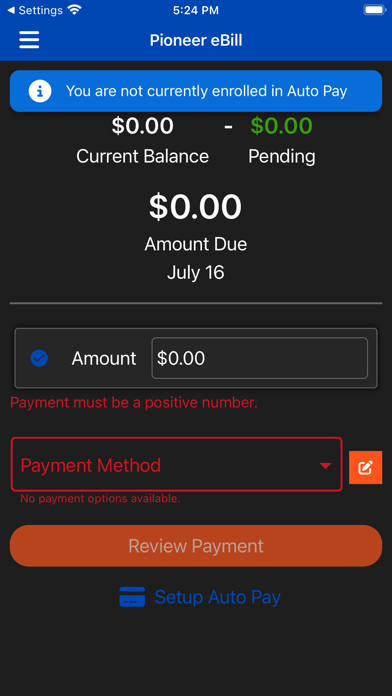 Pioneer eBill Screenshot