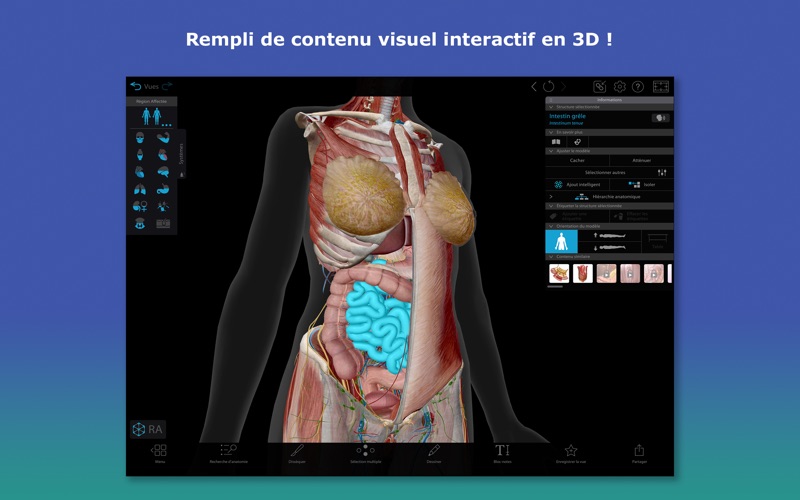 Screenshot #1 pour Atlas d'anatomie humaine en 3D