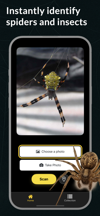 Spider Identifier Spider ID Screenshot 3 of 5