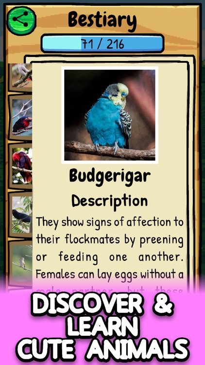 Fruity Fauna: Match & Learn screenshot-3