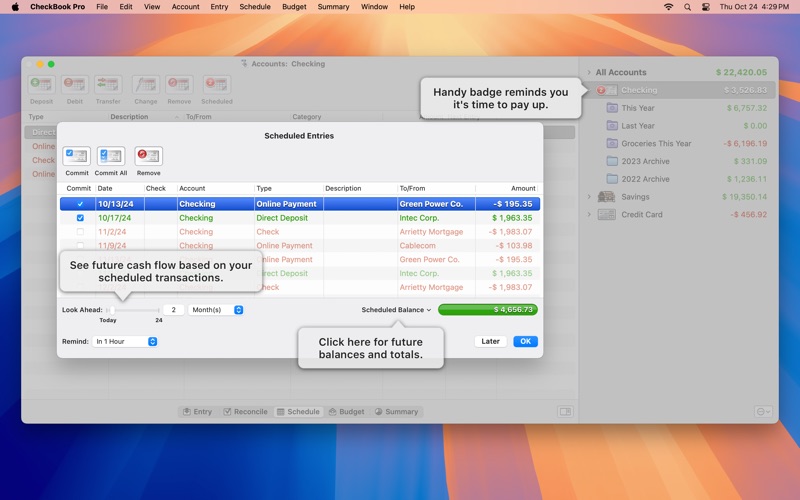 CheckBook Pro 3 Screenshot