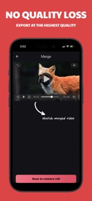 Merge: add audio to video screenshot