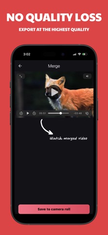 Merge: add audio to video screenshot